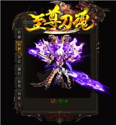 盛大天龙八部客私服